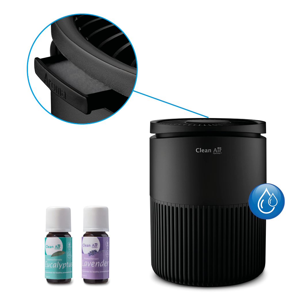 air purifiers, HEPA filter, dust, allergens, pollutants, asthma, respiratory, home air quality, portable air cleaner, air filtration, UV-C light, ozone, smoke, odors, pet dander, mold, bacteria, air sanitizer, air freshener, home air purifier, air purification, air cleaner, air cleaning, air purifying 