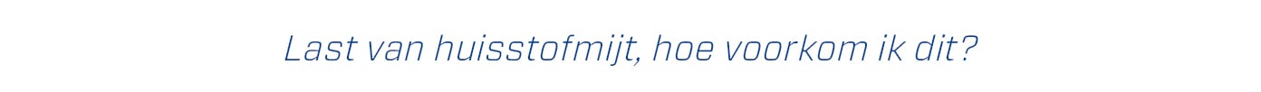 huisstofmijt