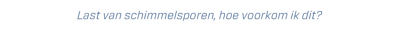 schimmel verwijderen