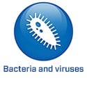 2022 - EN - BS5.2 - Bacteriën/virussen (.nl)