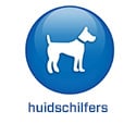 2022 - BS5.6 - Huidschilfers (.nl)