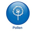 2022 - EN - BS5.4 - Pollen (.nl)