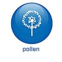 2022 - BS5.4 - Pollen (.nl)